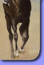 Maura Clarke Equestrian Art